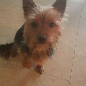 Meet your Posher, Aline